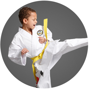 Martial Arts Henderson's Martial Arts Karate for Kids